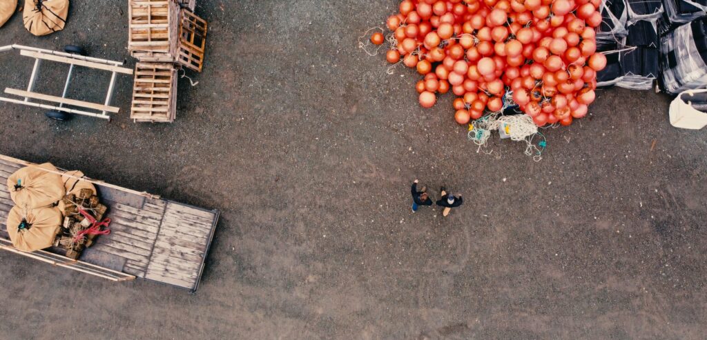 An aerial view of a truck full of oranges.