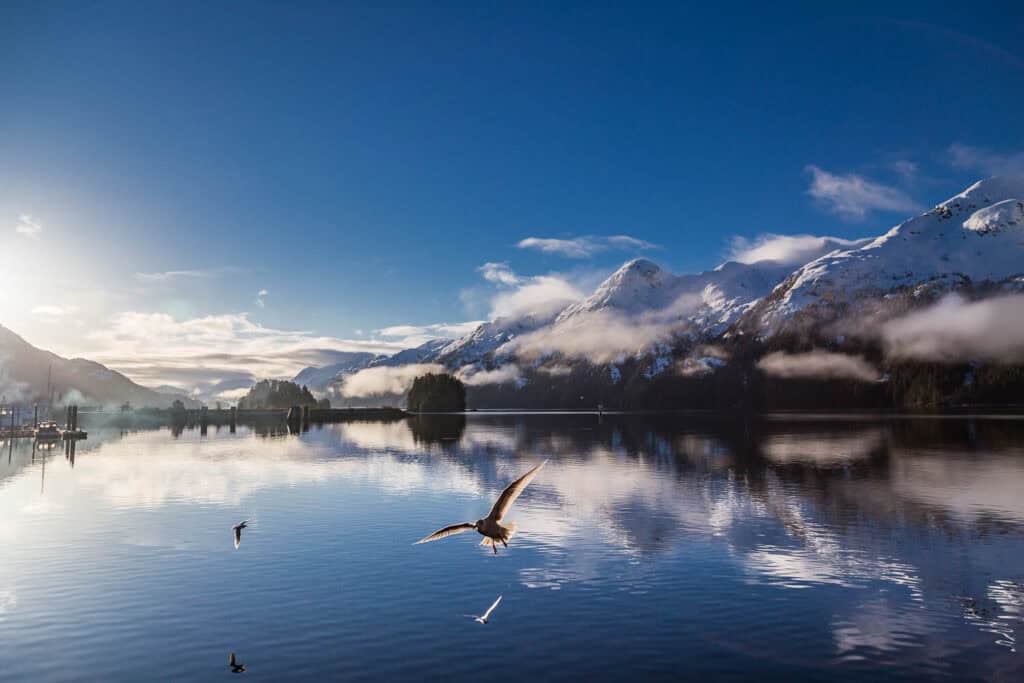 A bird flying over the ocean with mountains in the background.